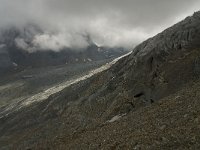 CH, Wallis, Saas Fee, Morenia 2, Saxifraga-Willem van Kruijsbergen